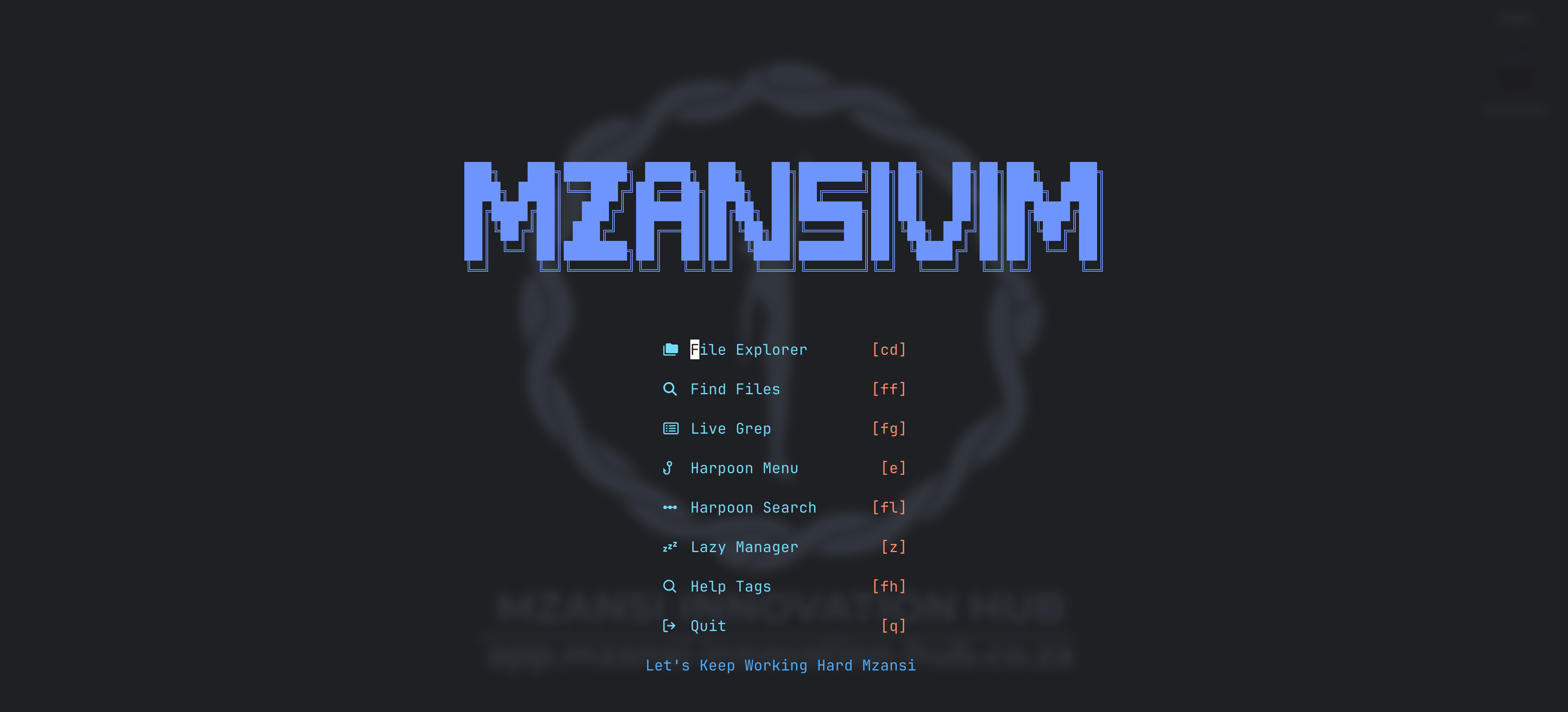 MzansiVim Dashboard